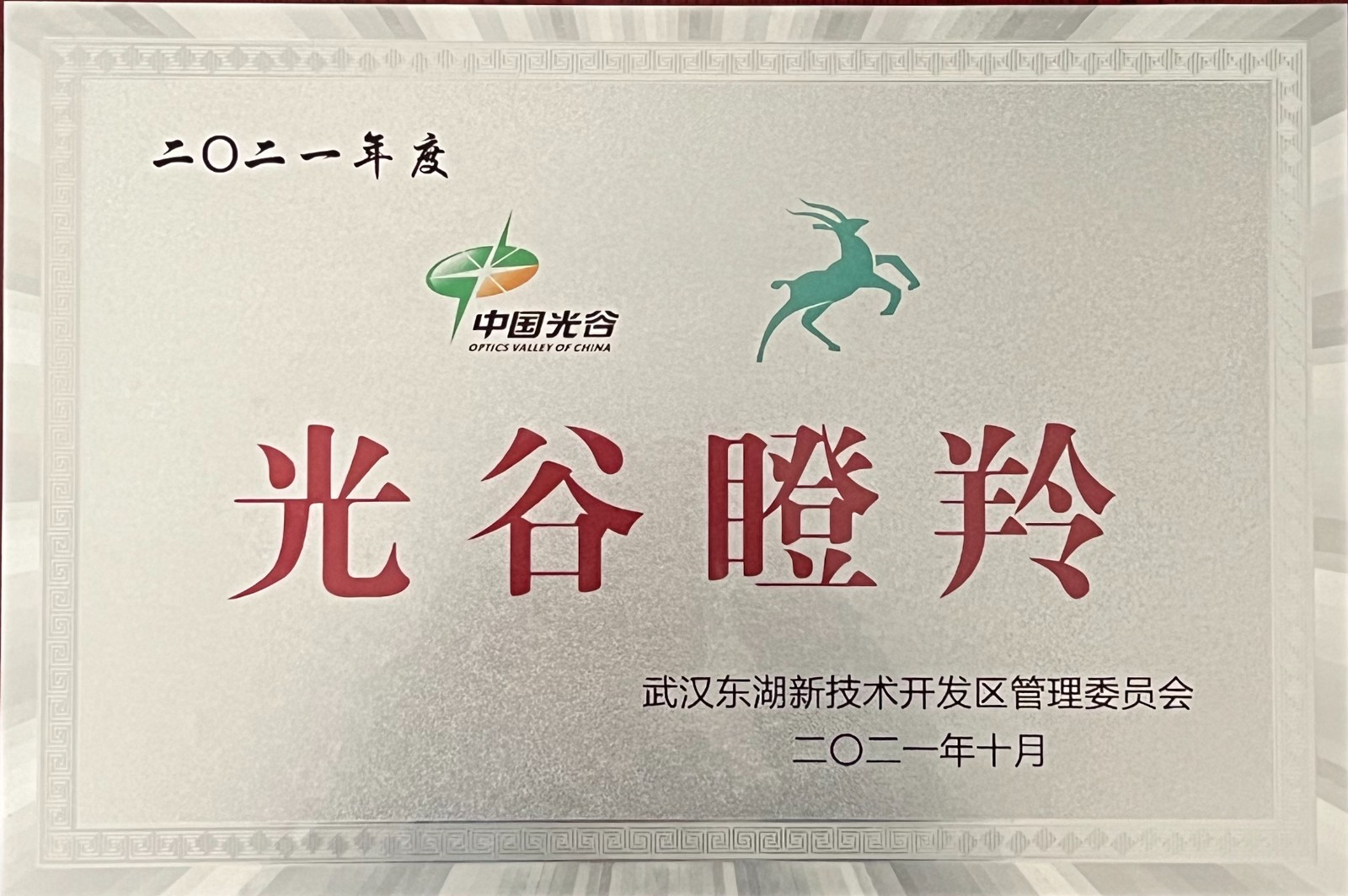 2021年光谷瞪羚企业.jpg